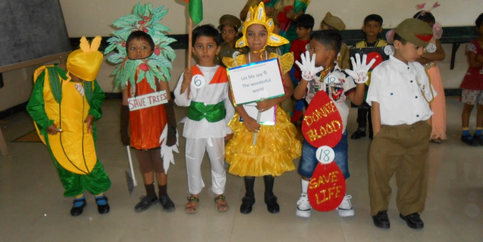 Pre- Primary Fancy Dress Competition — Little Flower Convent High School